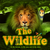 The Wildlife