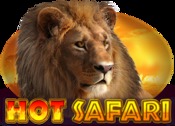 Hot Safari