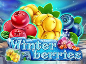 winterberries